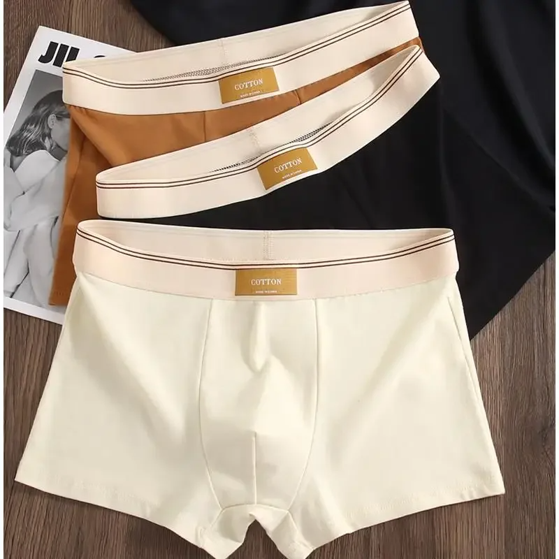 Men Daily Boxer Briefs with Contrasting Waistband