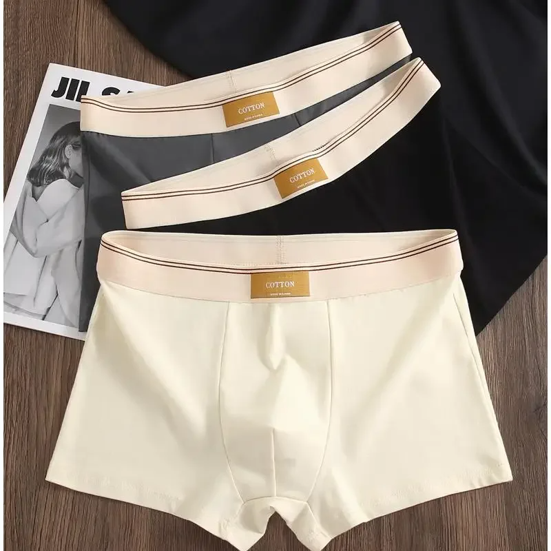 Men Daily Boxer Briefs with Contrasting Waistband