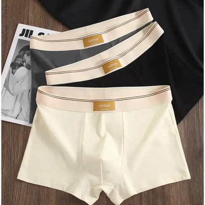 Men Daily Boxer Briefs with Contrasting Waistband