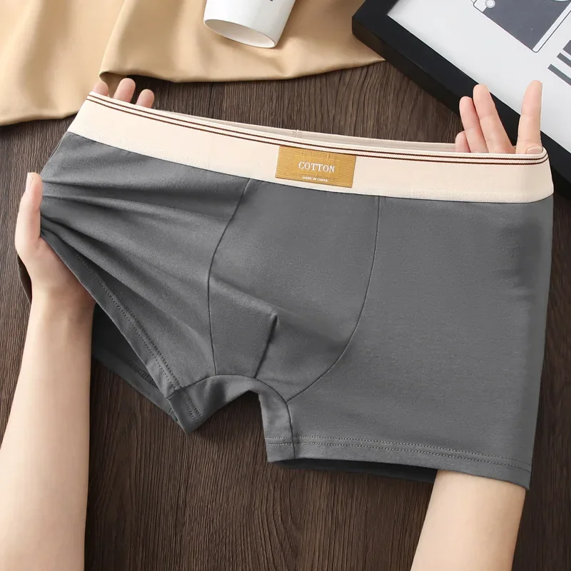 Men Daily Boxer Briefs with Contrasting Waistband