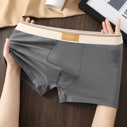 Men Daily Boxer Briefs with Contrasting Waistband