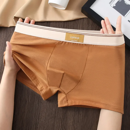 Men Daily Boxer Briefs with Contrasting Waistband