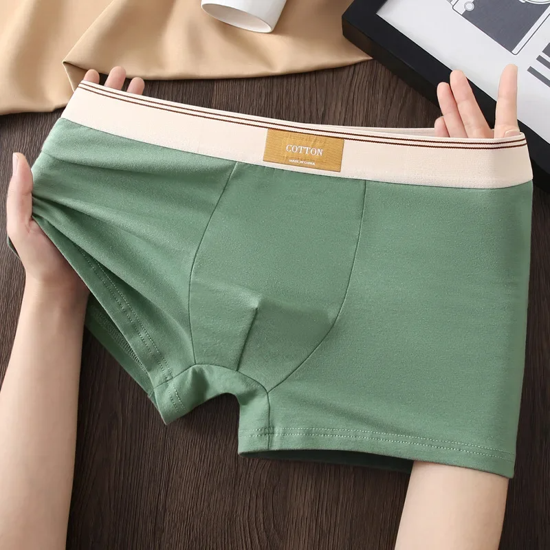Men Daily Boxer Briefs with Contrasting Waistband