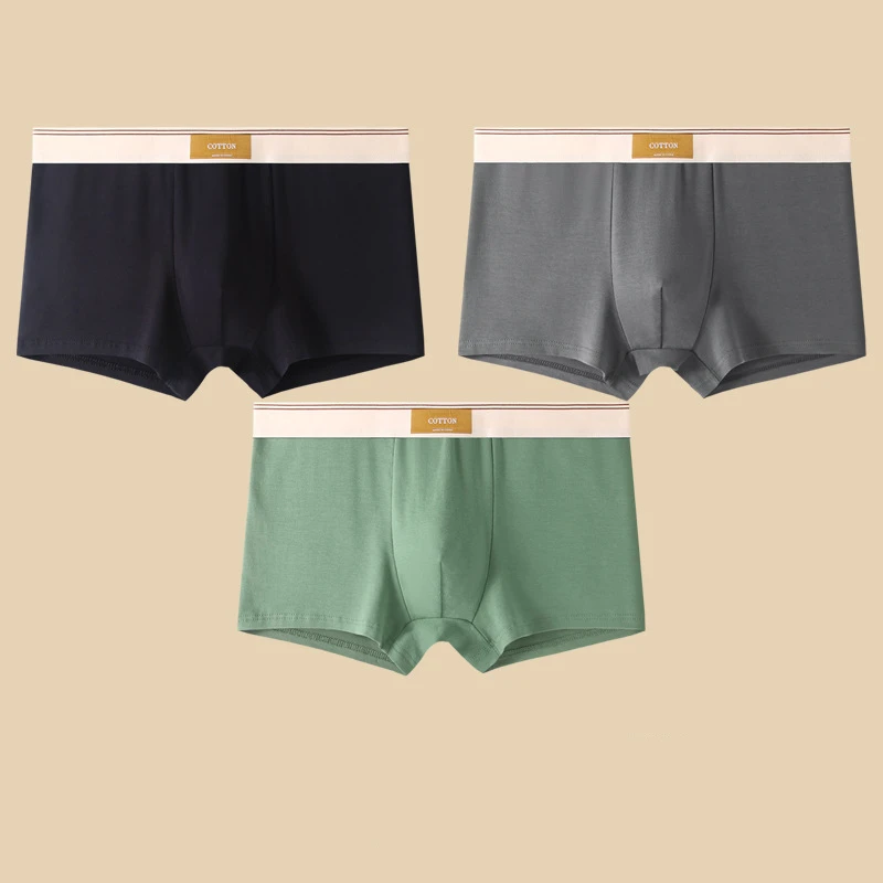 Men Daily Boxer Briefs with Contrasting Waistband