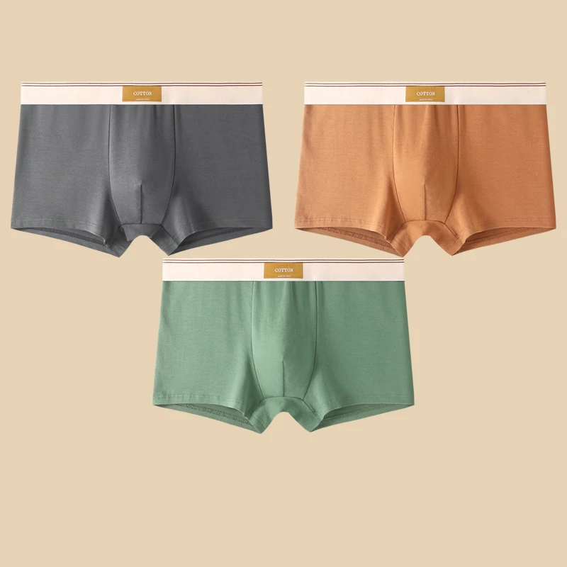 Men Daily Boxer Briefs with Contrasting Waistband