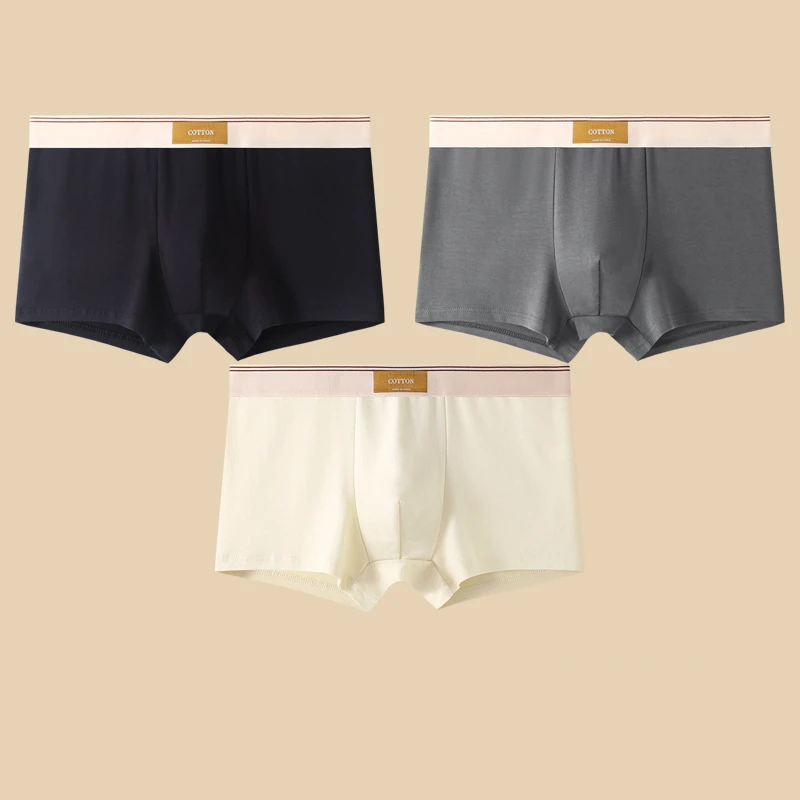 Men Daily Boxer Briefs with Contrasting Waistband