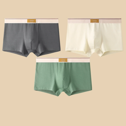 Men Daily Boxer Briefs with Contrasting Waistband