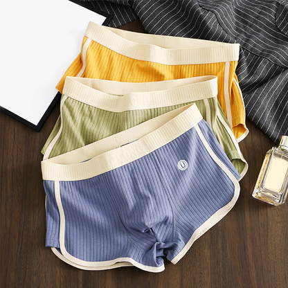 Men Daily Wear Boxer Briefs Color-Blocked