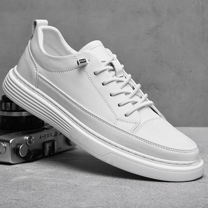 Low Top Sneakers For Men