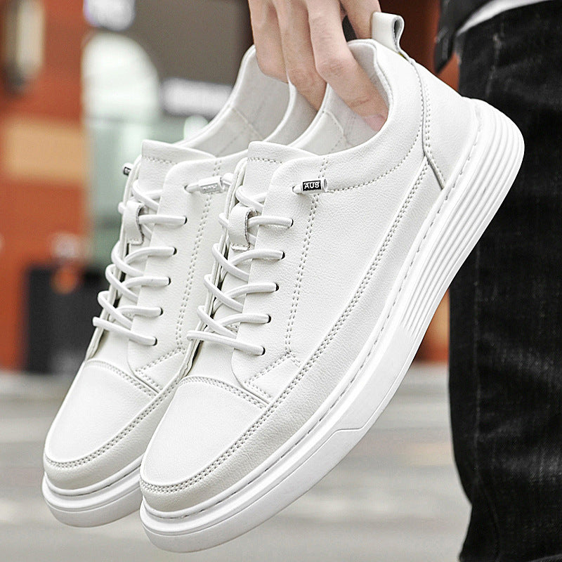 Low Top Sneakers For Men